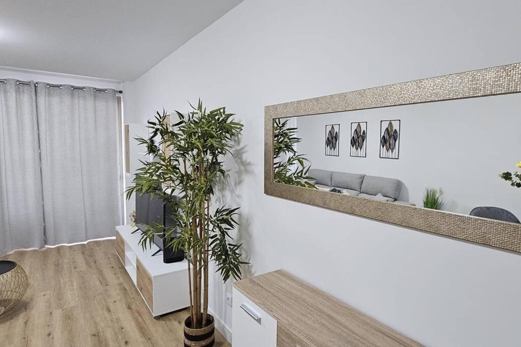 Appartamento Vista Mar - Ac, Parking And Pool Funchal  Esterno foto